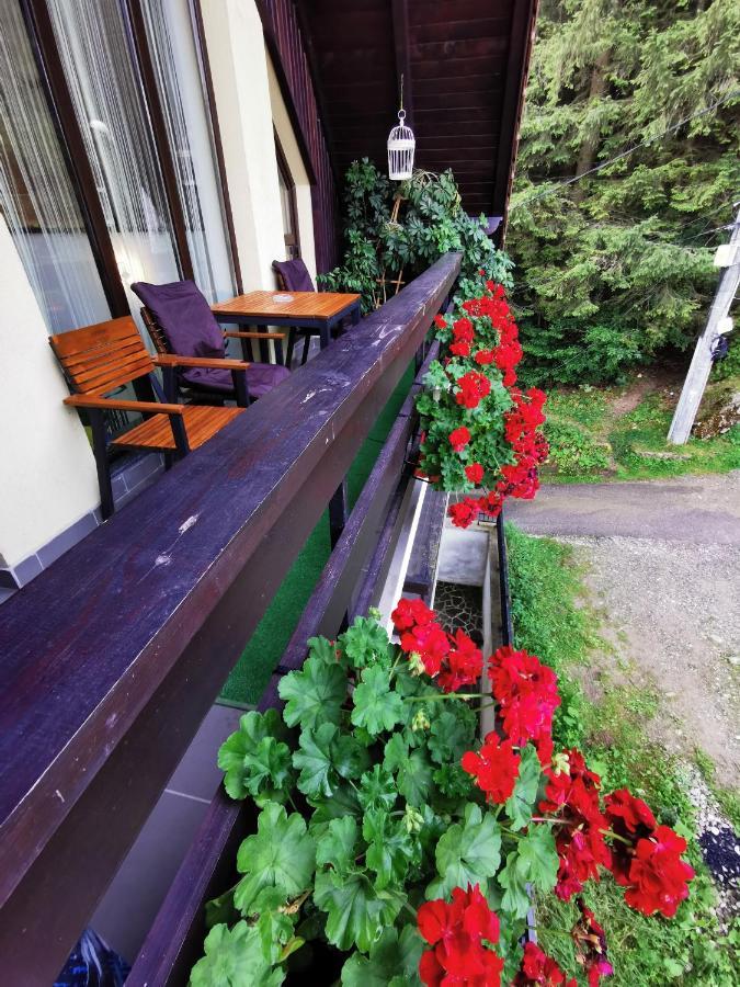 Apartament Kalinderu K1 Buşteni Esterno foto