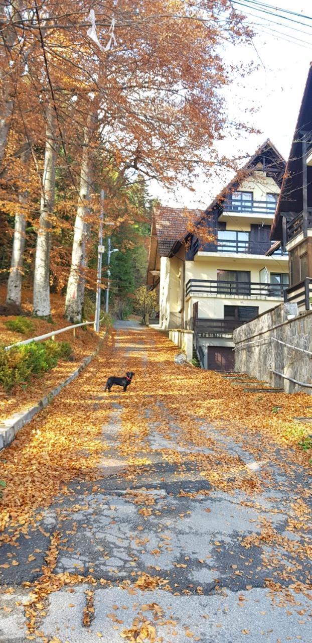 Apartament Kalinderu K1 Buşteni Esterno foto