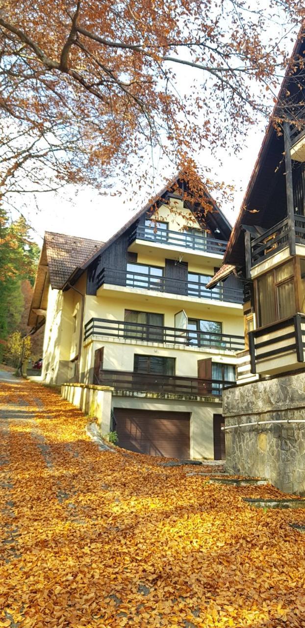 Apartament Kalinderu K1 Buşteni Esterno foto