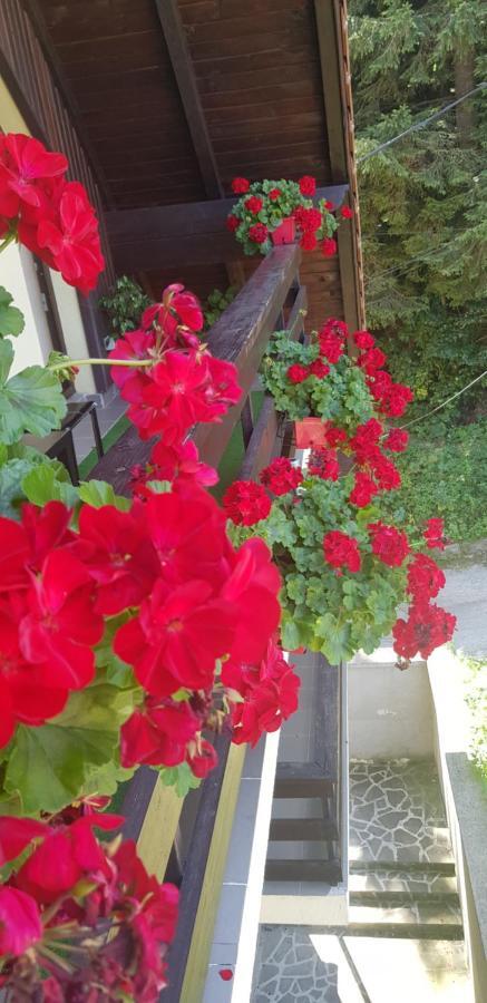 Apartament Kalinderu K1 Buşteni Esterno foto